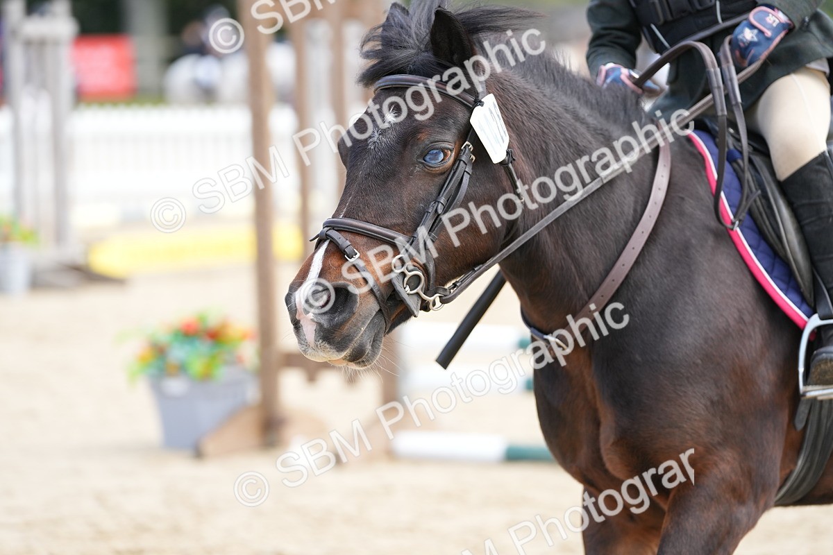 SBM_21337 - J49 - Open 50cm