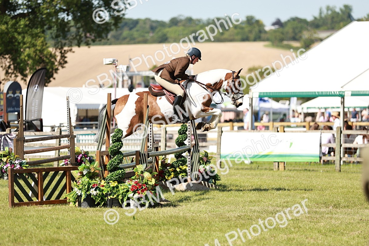 SBM_18788 - Class 114 - RIHS & SEIB Open Working Show Horse