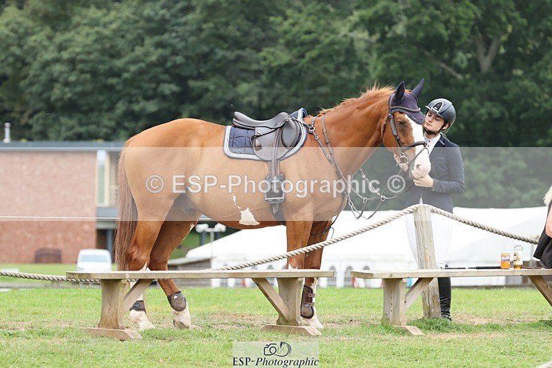 240817-152201-02200 - 06A Snr Fox 1.20m open