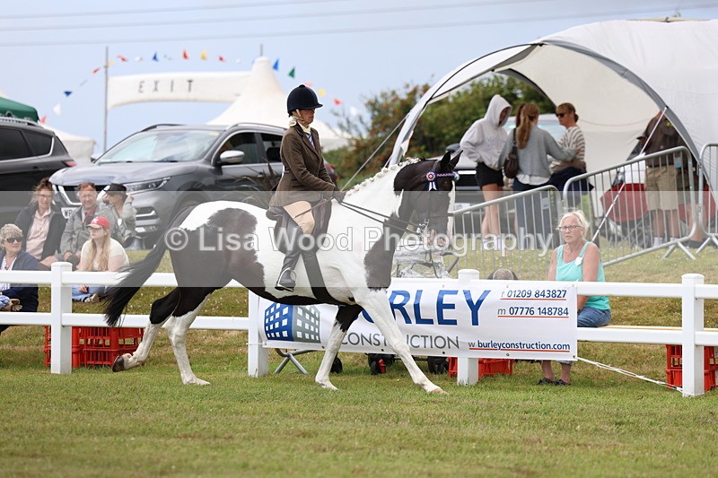 3E7A0909 - Class 8: Open Riding Horse/Hack