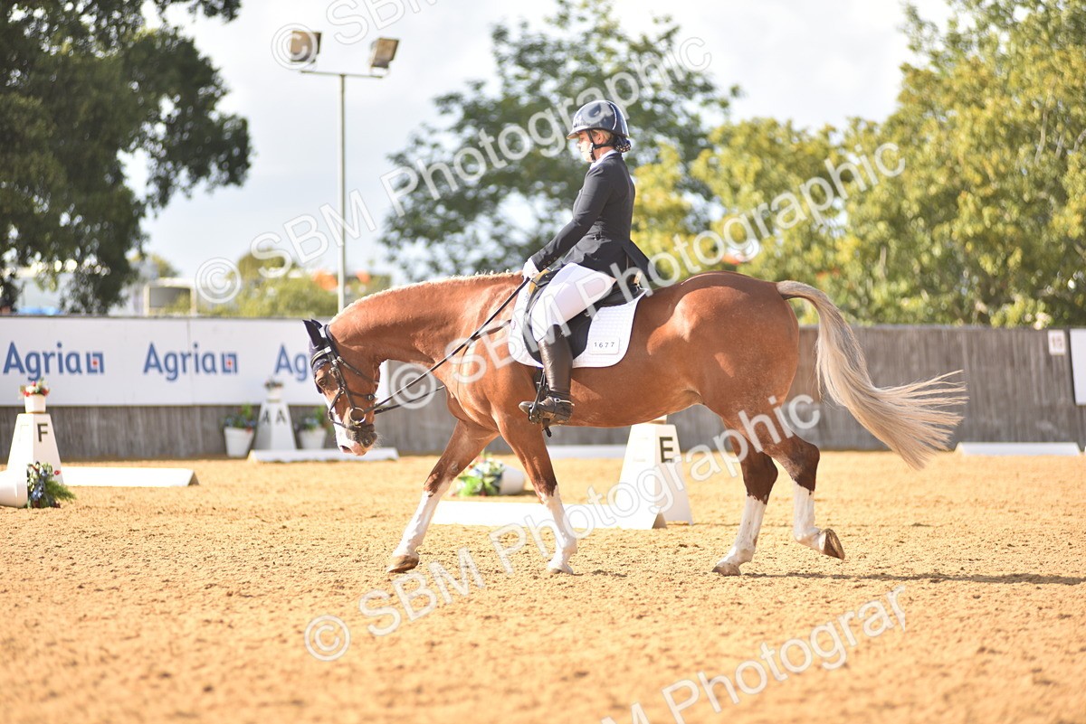 SBM_29580 - D16 -Small Tour Championship Novice 2