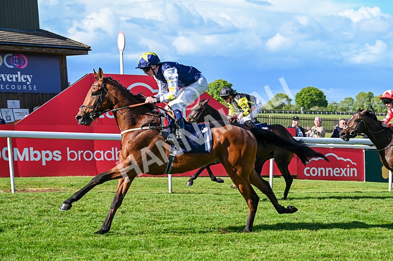 120526-Race 6-Ciao Capo-9242 - Race 6 5.10pm Racing Welfare Supporting Mental Health Handicap