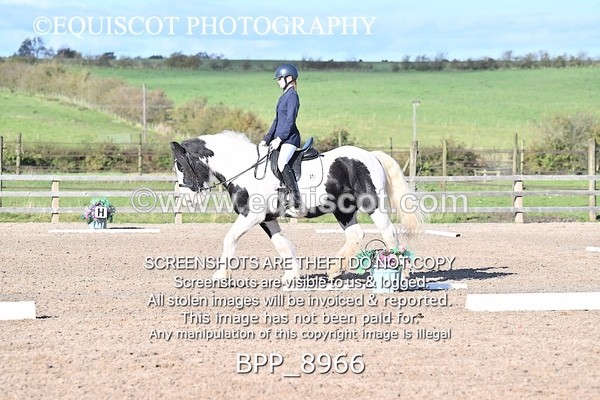 BPP_8966 - SHORT ARENA INTRO 3