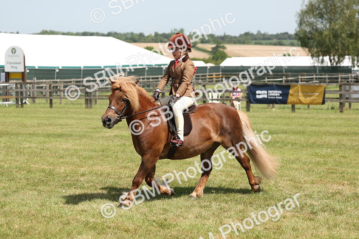 SBM_05346 - Class 24-25 - Mountain & Moorland In Hand Lead Rein and First Ridden