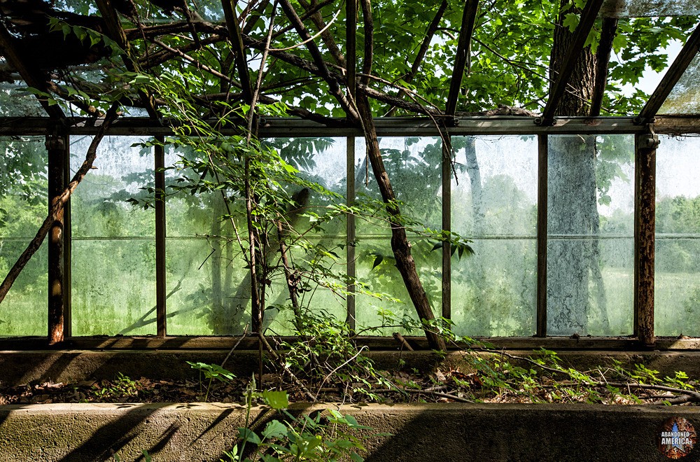 Pennhurst State School (Spring City, PA) | Greenhouse Windows - Pennhurst State School and Hospital