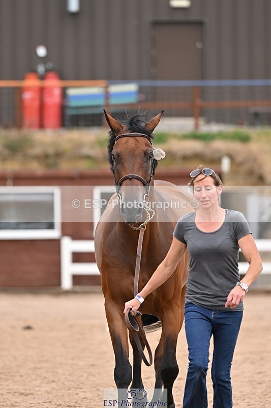 250716-154947-02205 - Trot Up 3.30 to 4.30