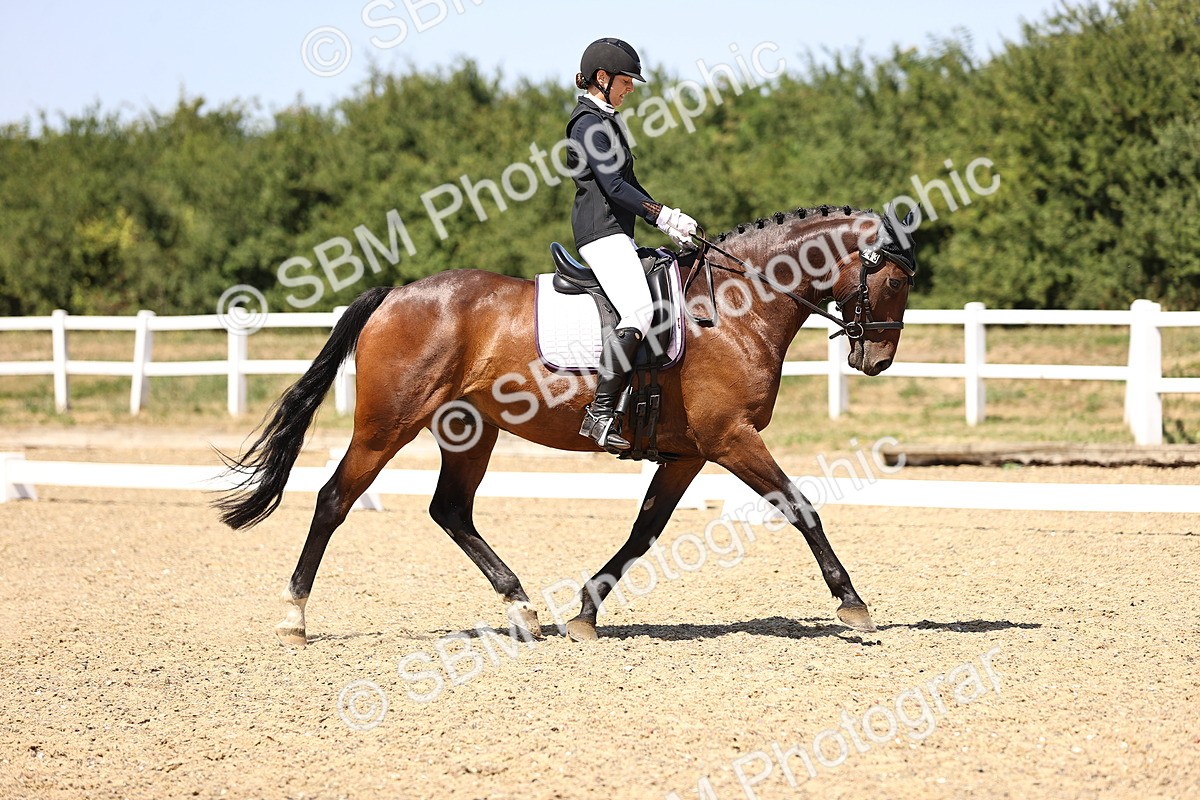 SBM_012120 - Novice 5 - 13.05-14.36