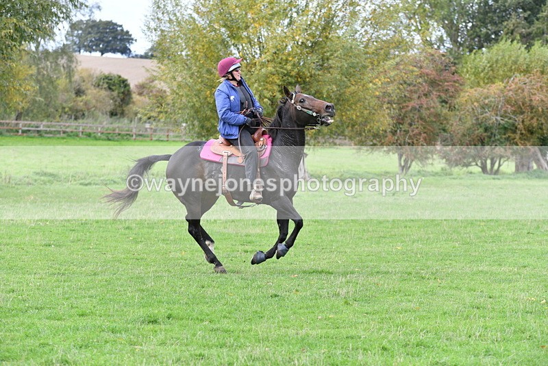 WJ5_0148 - Time 13:25 to 13:58