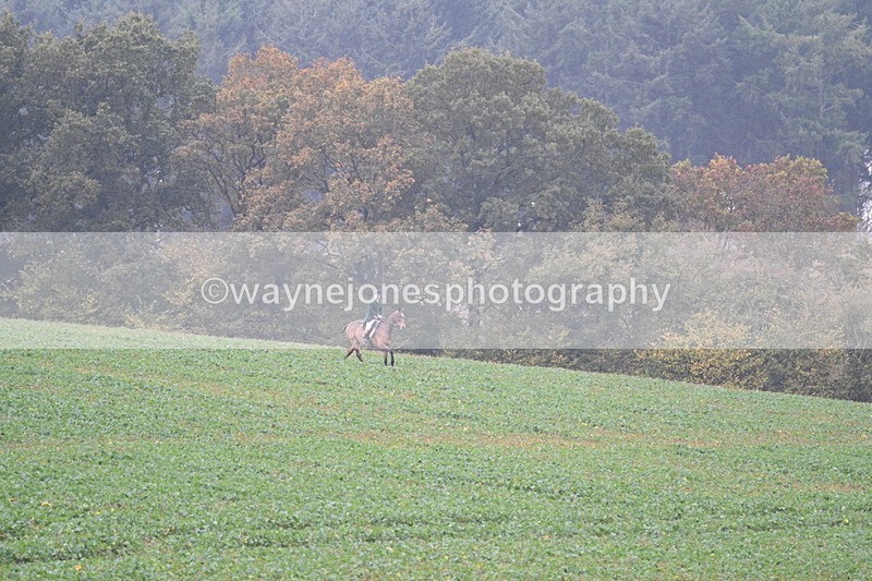 WJ7_8873 - Camera 1 only on this line