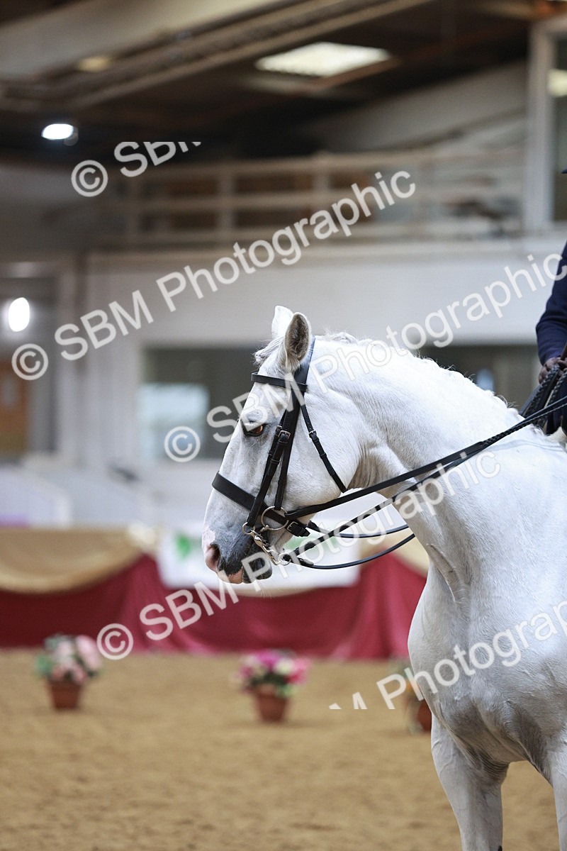 SBM_09060 - Class 12R - Regional Ridden Pre-Vet