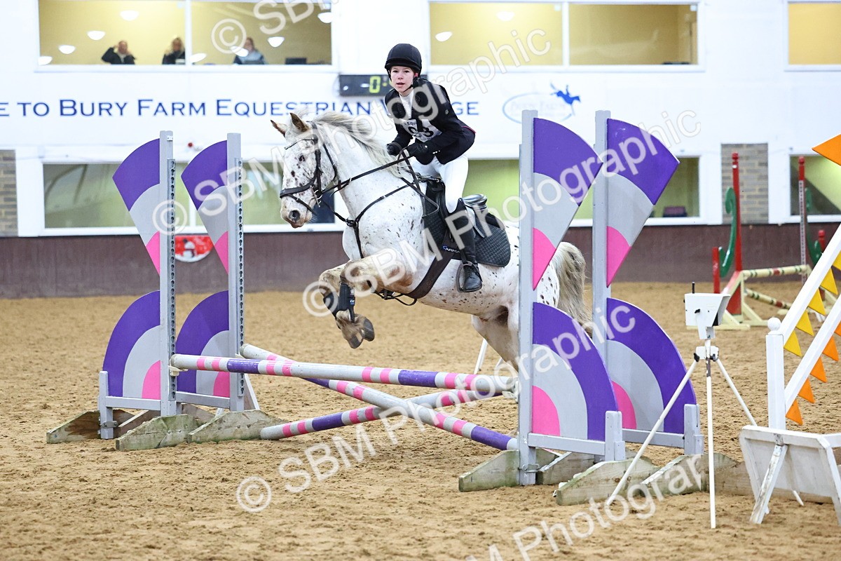 SBM_001308 - Class 3 - Christmas Tree Stakes - 60cm