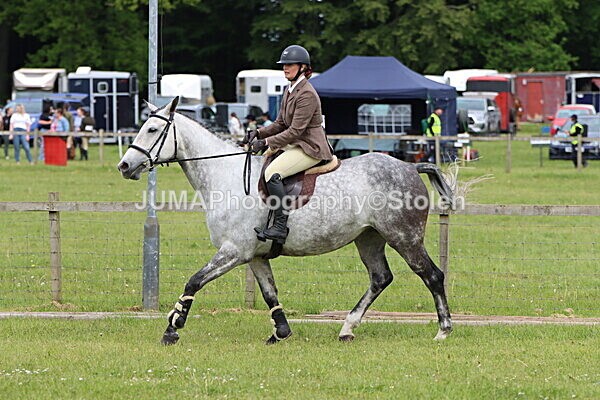 IMG_2755 - Working Hunter