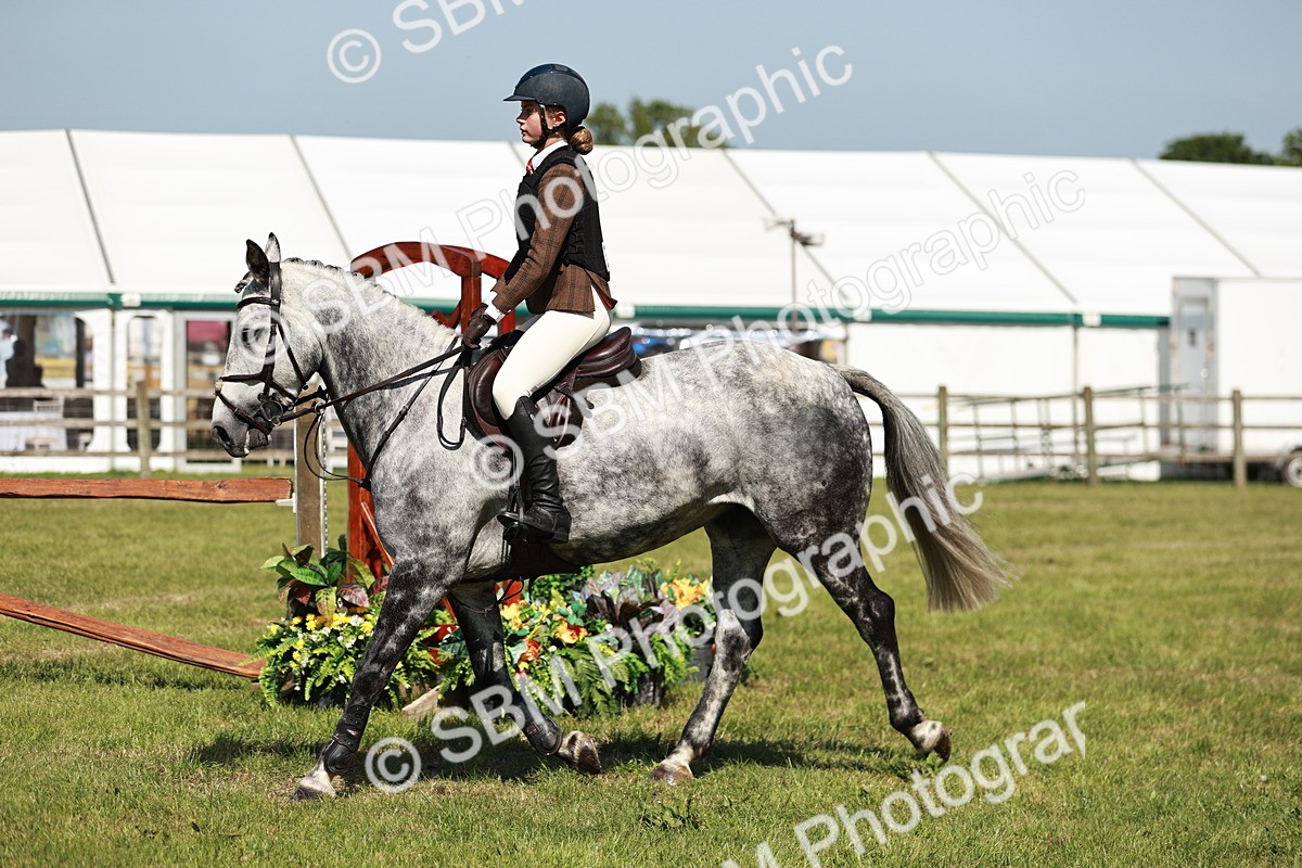 SBM_18365 - Class 112-113 - BSPS LIHS Working Sports Pony