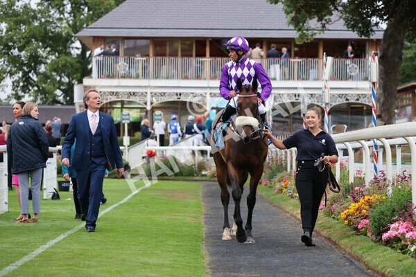 yr22072022r4-50 - Race 4 6.50pm The IRE Incentive It Pays To Buy Irish EBF Restricted Novice Stakes