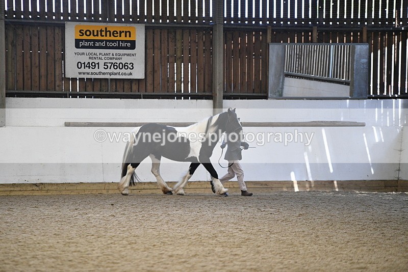 WJ5_5236 - Class 8 In hand cob