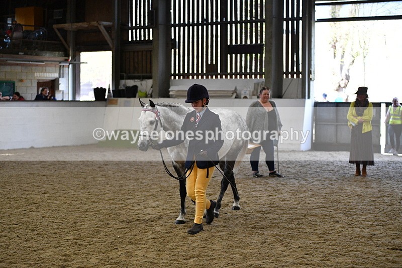 WJ5_4482 - Class 3 Part Bred In hand