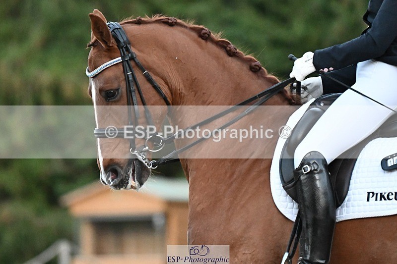 231110-163618-02689 - Cls 14 FEI Grand Prix