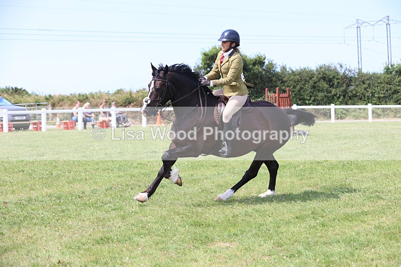 JPP_3551 - Class 23: Working Hunter 80cm