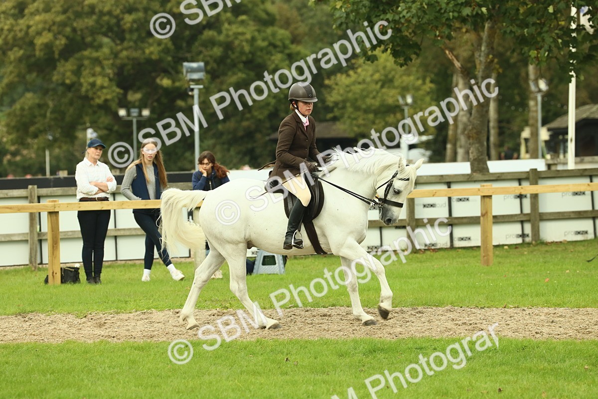 SBM_71980 - S60 - Mountain & Moorland Ridden Large Breeds