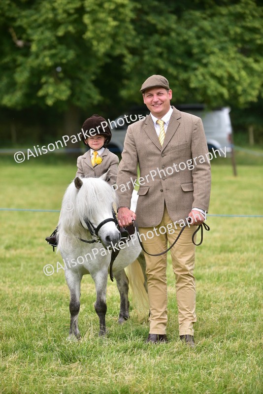 20260614-3698 - Class 15 - Prettiest Mare