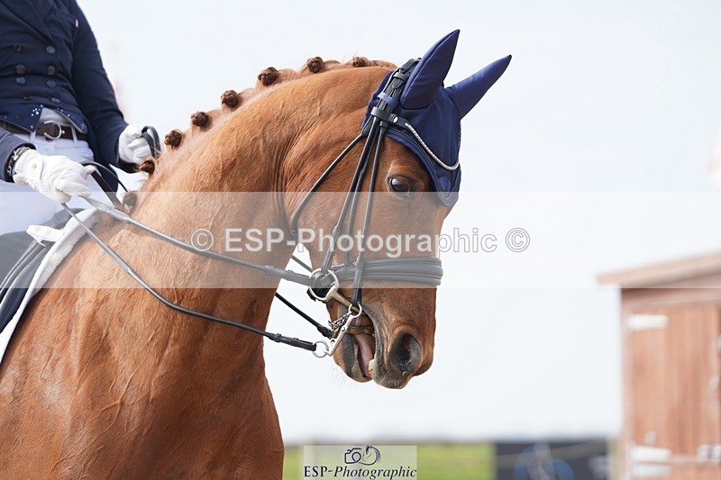 250404-111656-05402 - 004-Sara-Jane.Lanning-Hawtins.Lirica