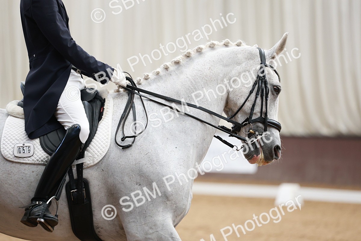 SBM_008625 - Class 14 - FEI PSG - 9.30-10.30