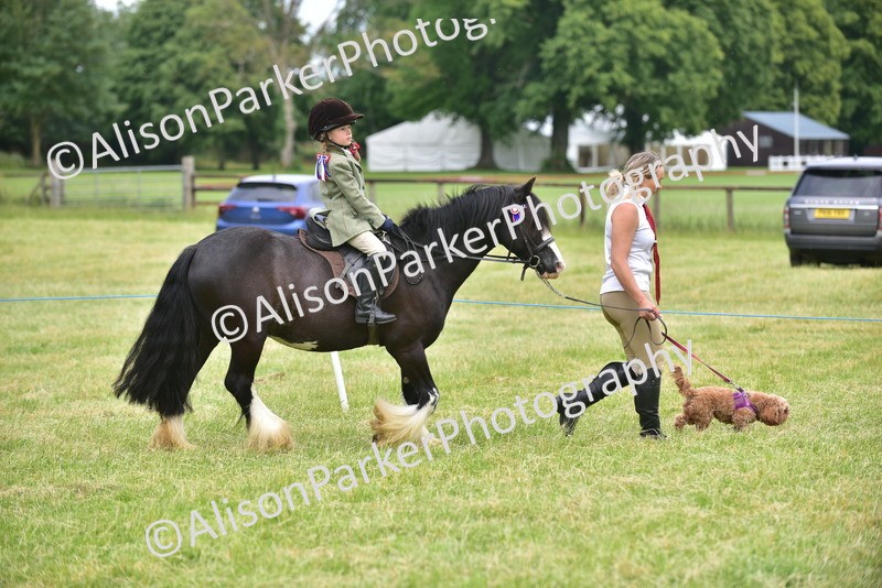 20260614-4526 - Class 19 - Cutest Pony, Rider and Dog Combination