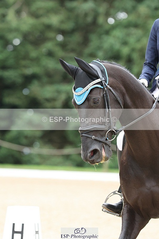 240810-152107-04014 - 177-Alys.Matravers-Dargason's.Moonshadow