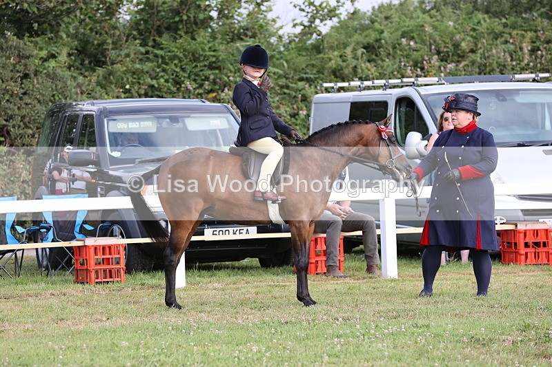 JPP_0244 - Class 14: Cornish Combination Leading Rein