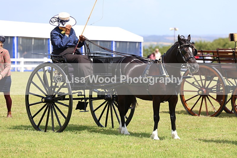 3E7A2741 - Class 12: Open Driving