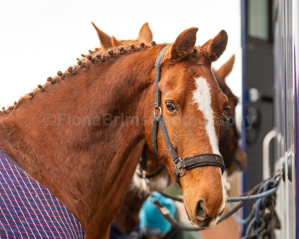 Anne -1 - Troon Easter Monday Drive 2026