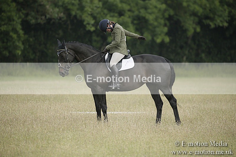 B230619-0155 - Bourne Valley Riding Club Summer Show 23/06/19