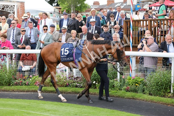 yr20082021r4-67 - Race 4 3.35pm Coolmore Wootton Bassett Nunthorpe Stakes (British Champions Series Race)