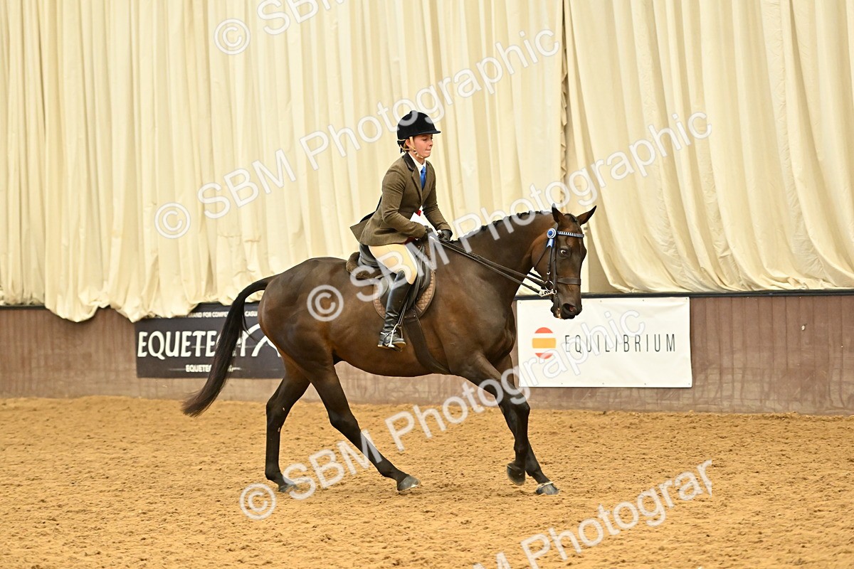 SBM_002013 - Class 24 - BSHA Ridden Racehorse to Show Horse
