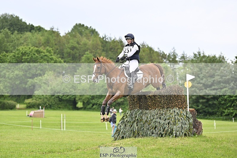 240525-161048-16988 - 251-MILESTONE_GOLD-Gaby_Bull