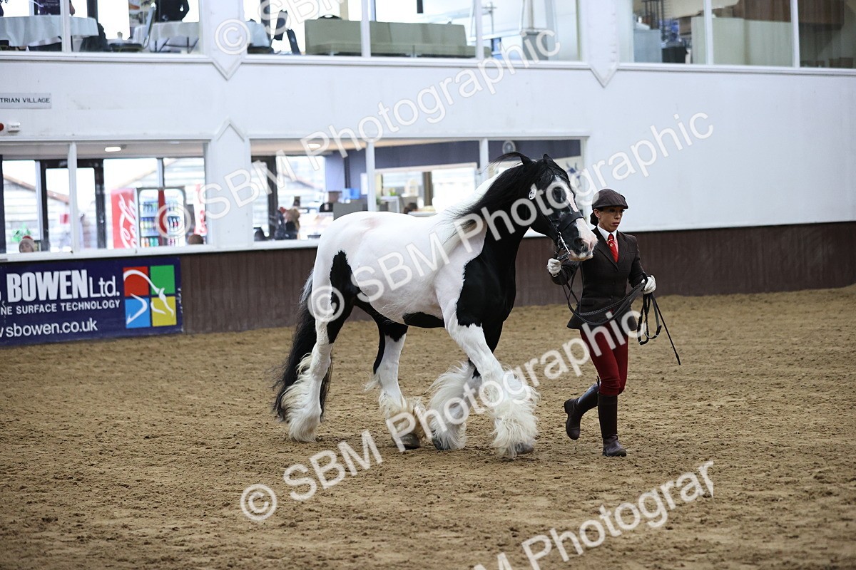 SBM_5645 - Class 40 - RESS In Hand Qualifier