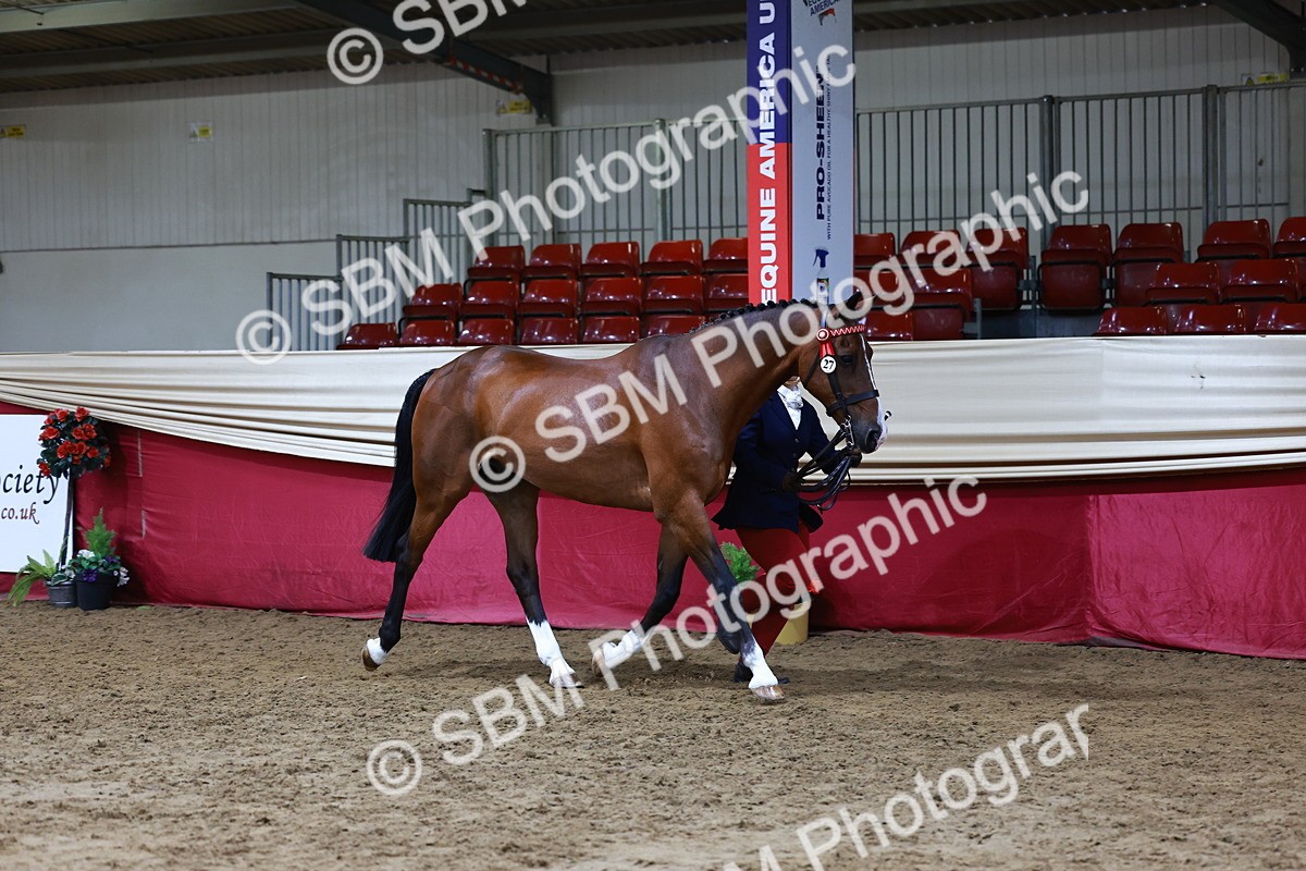 SBM_23028 - Supreme Final - IH  Champ