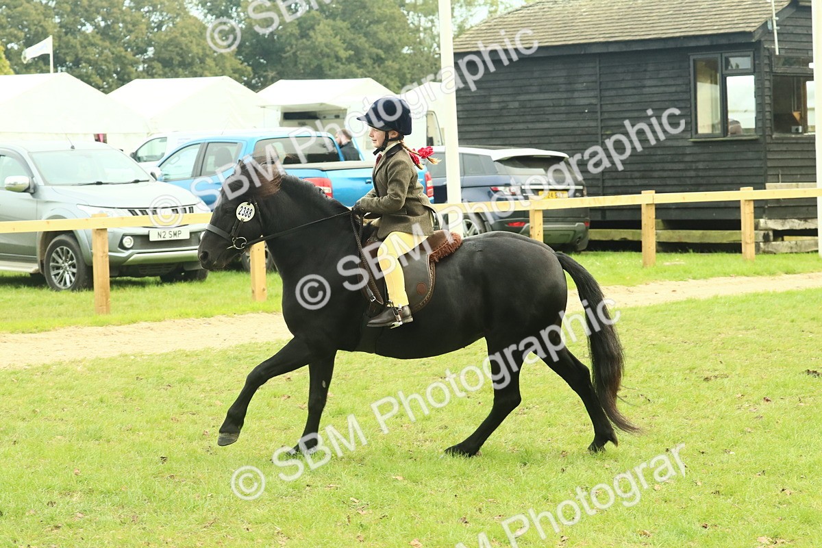 SBM_69969 - S59 - Mountain & Moorland Ridden Small Breeds