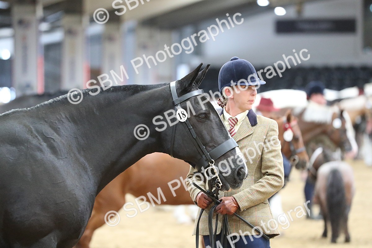 SBM_06414 - Class 9R Regional- IH Pre Vet