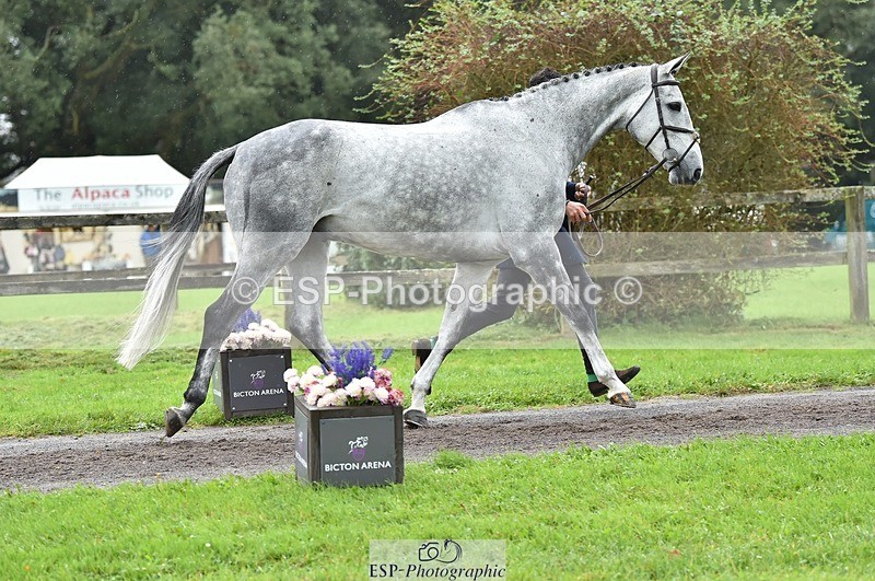 231018-124728-00524 - 064-AIR.MAIL-Daisy.Amin-TrotUp