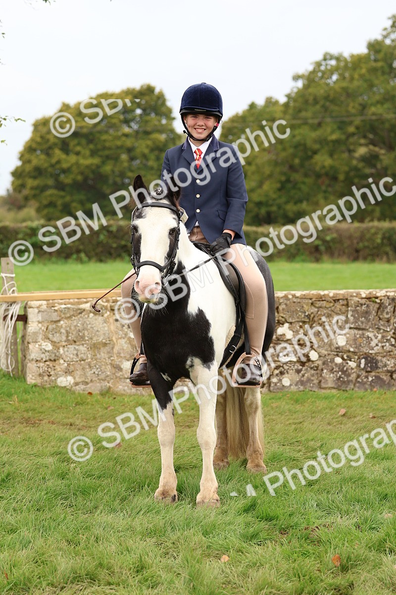 SBM_59930 - S36 - Rehabiliated Rescue Horse & Pony In Hand & Ridden