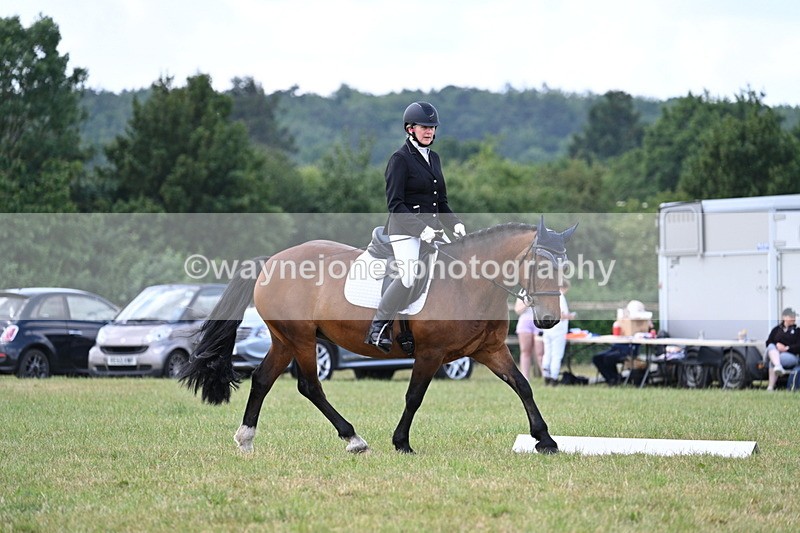 WJ7_5343 - Time 11:22 to 11:51