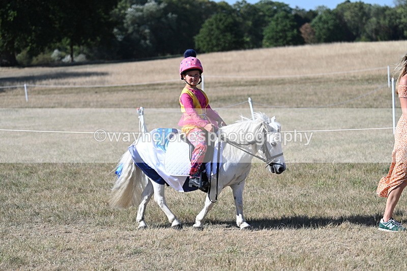 WJ7_2410 - Class 45 Fancy Dress (My Fav)