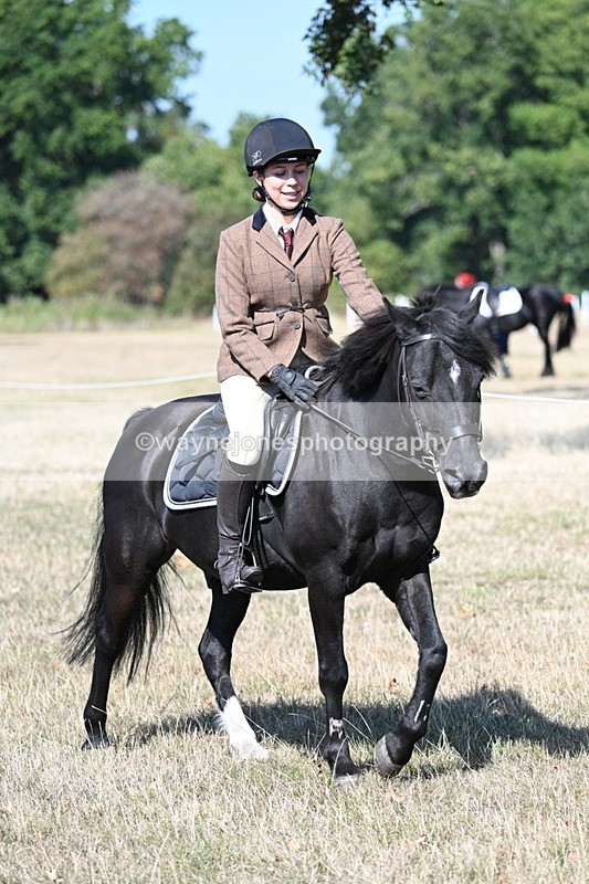 WJ7_3540 - Class 9 Mountain & Moorland Ridden