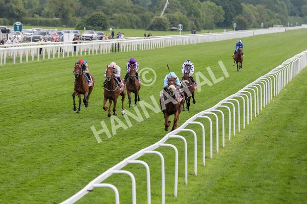 170524-Race 4-Giavellotto-2191 - Race 4 3.45pm Boodles Yorkshire Cup Stakes