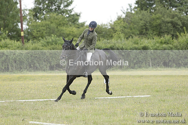 BVR160717-2036 - Class 4 & 5 Dressage 16/07/17