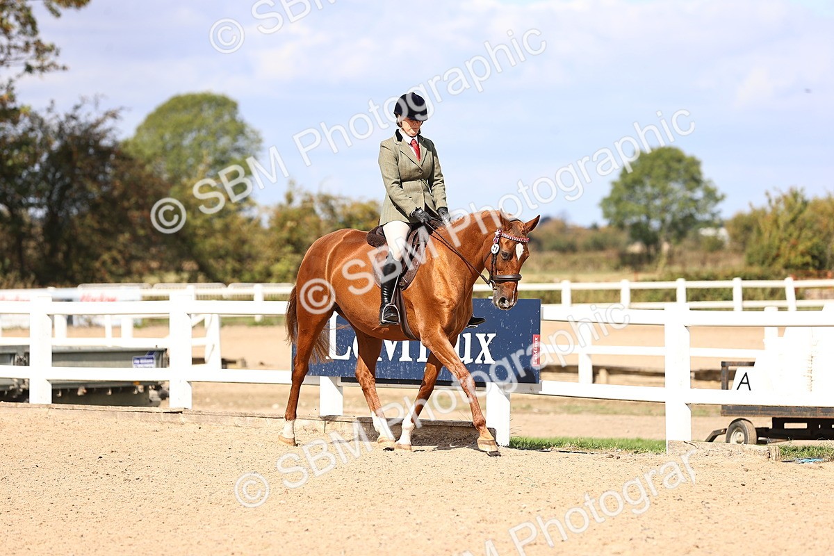 SBM_14271 - Class 411 - Prettiest Mare (IH OR Ridden) Adult
