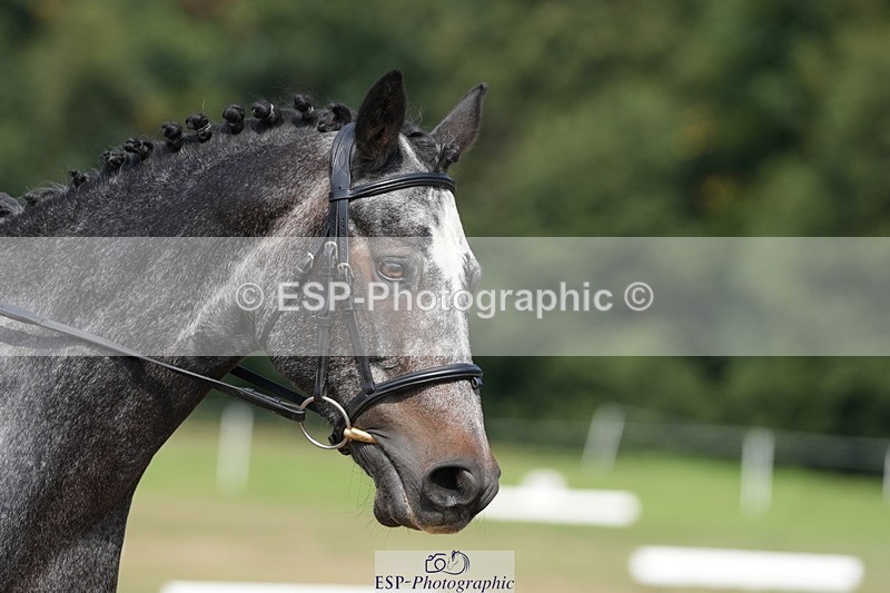 250823A-143304-32127 - PC70 Ride Off