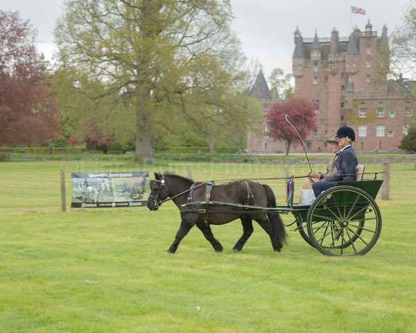 Attelage -1086 - CIAT Glamis 2026