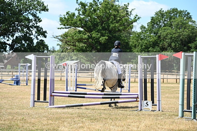 WJ6_5886 - Class 13 Novice 60cm